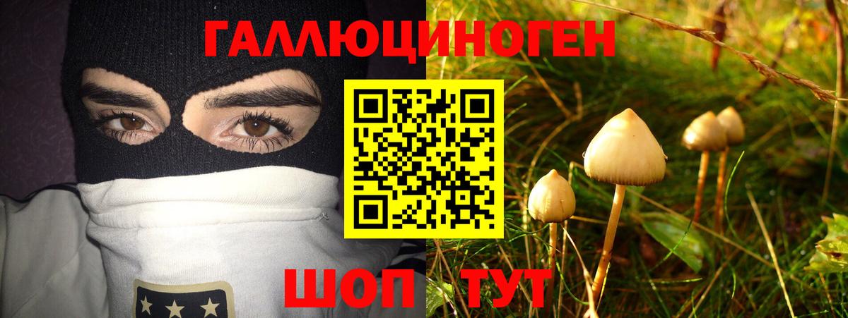 Псилоцибиновые грибы MAGIC MUSHROOMS  Псилоцибиновые грибы Psilocybe  Нововоронеж  Вход с VPN 