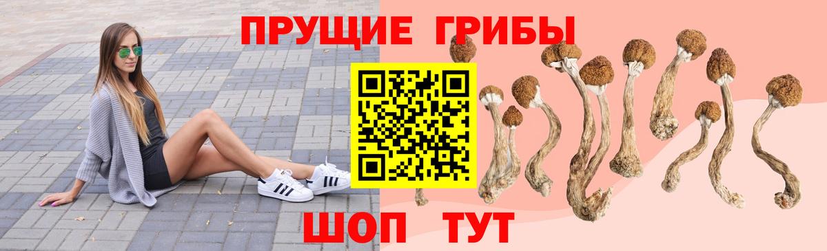 Галлюциногенные грибы ЛСД Нововоронеж